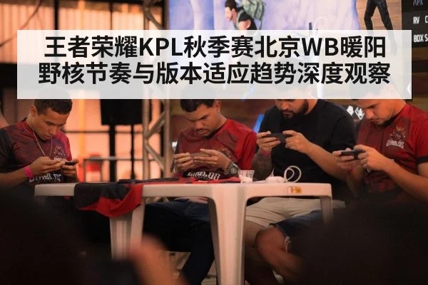 王者荣耀KPL秋季赛北京WB暖阳野核节奏与版本适应趋势深度观察 - NG28