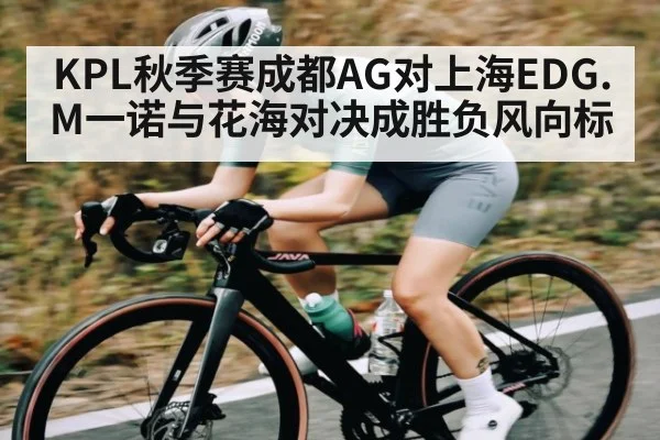 KPL秋季赛成都AG对上海EDG.M一诺与花海对决成胜负风向标 - NG28APP