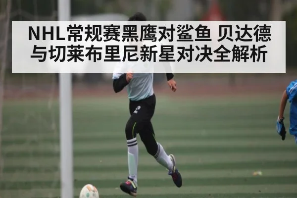 NHL常规赛黑鹰对鲨鱼 贝达德与切莱布里尼新星对决全解析 - NG28APP